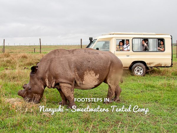 Footsteps in…Nanyuki – Sweetwaters Tented Camp