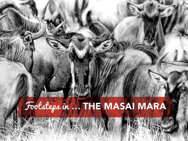 Footsteps in…The Masai Mara