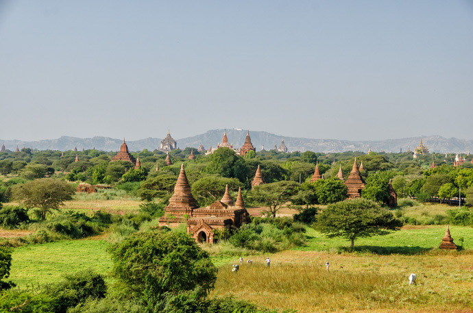 Temples, temples, as far as the eye can see!