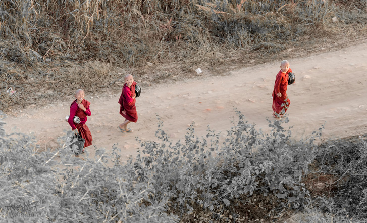 Novice monks get about their day in the plains of Bagan