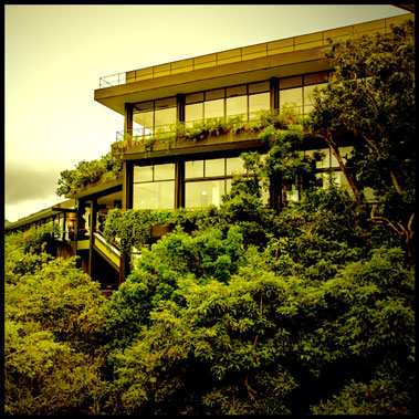 footsteps-in-dambulla-6