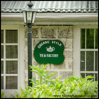The mini organic tea factory at the Heritance Tea Factory, Nuwara Eliya
