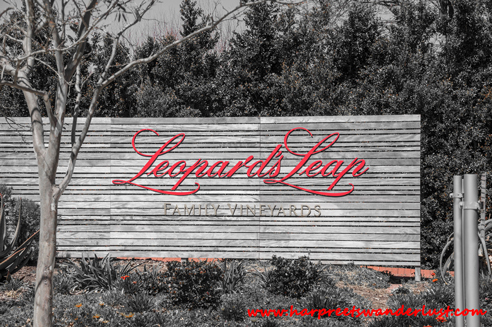 Leopard’s leap – one of the nicest wine tasting rooms