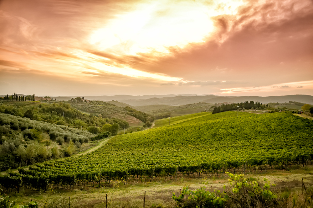 Simply GORGEOUS, breathtaking Tuscany