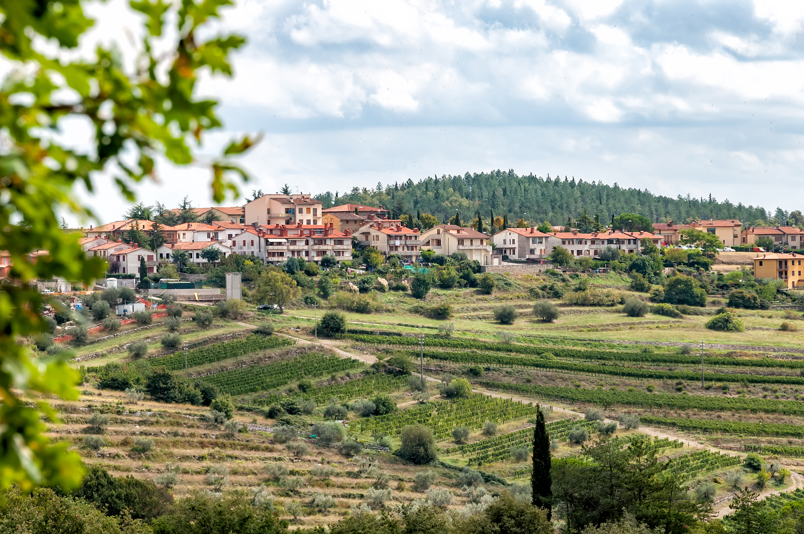 Castellina in Chianti from a distance