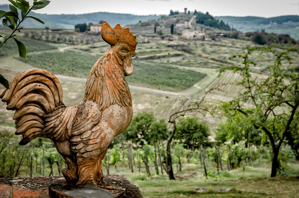 Cock a doodle Tuscany!