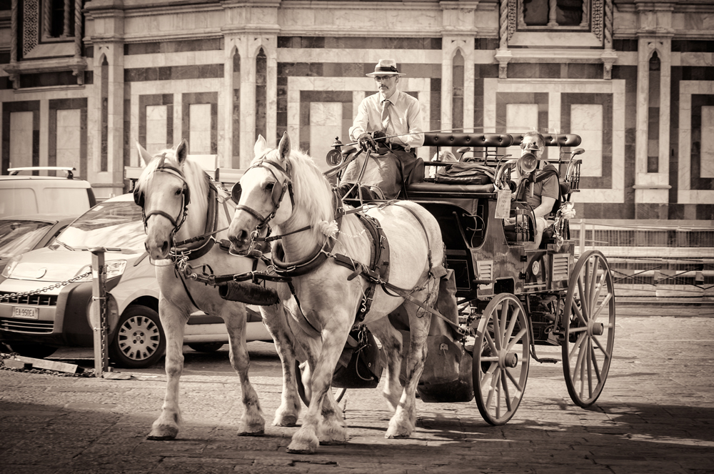 Horse and Carriage outside the Duomo