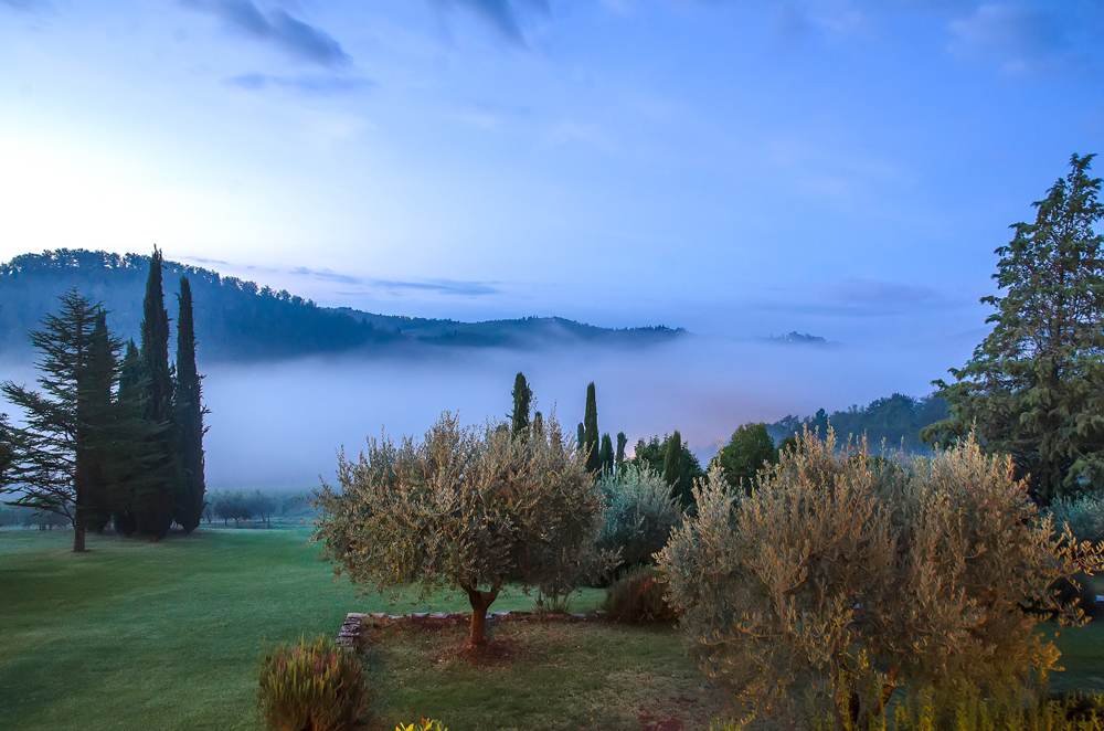 THIS VIEW!!!! Mist over the hills and the olive grove right outside our room!