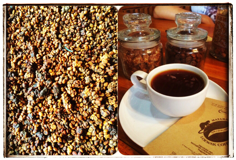 The poop on the left and the final product on the right...Kopi Luwak!
