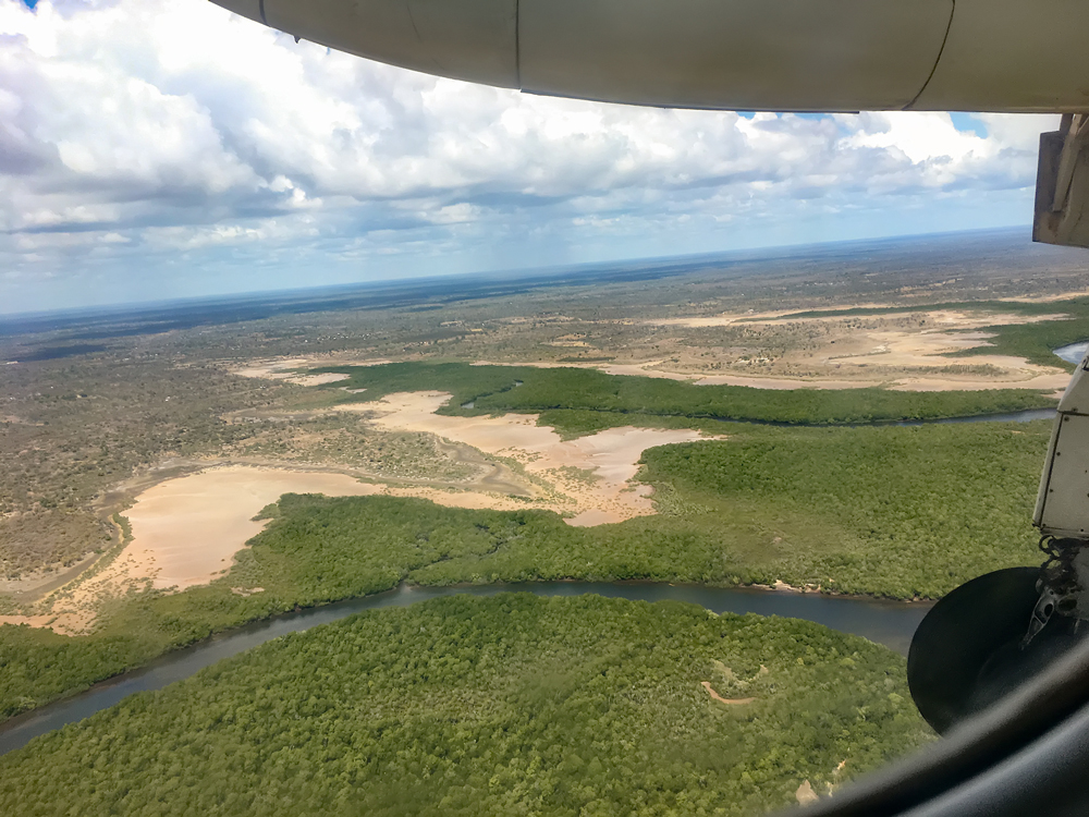 Mangrove swamps on landing in Manda