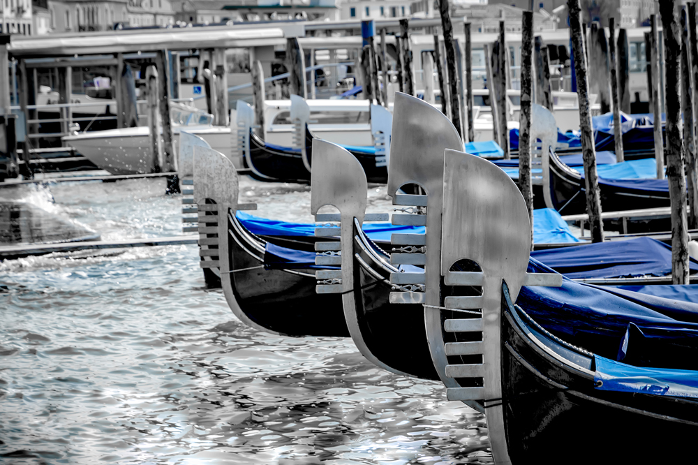 The prongs of the Gondolas, bobbing on the Grand Canal
