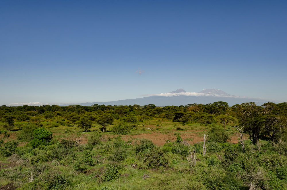 Mount Kilimanjaro in the distance