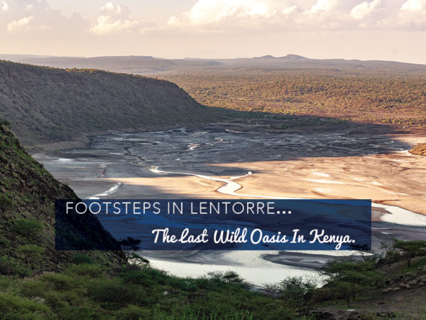 Footsteps in Lentorre…The Last Wild Oasis in Kenya