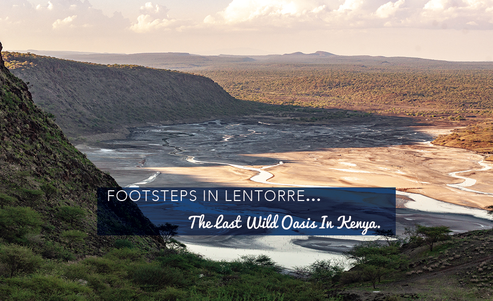 Footsteps in Lentorre...The Last Wild Oasis in Kenya