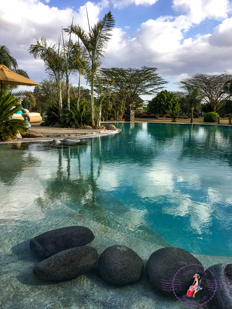 Salt Water Pool amidst botanical gardens