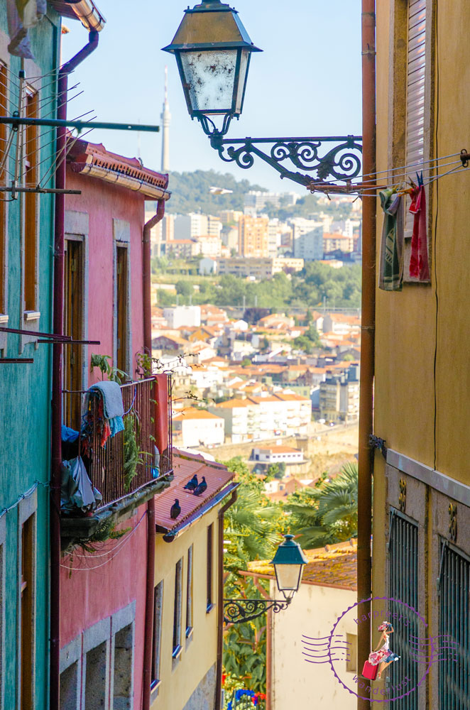 Pastel houses in the alleyways of Porto