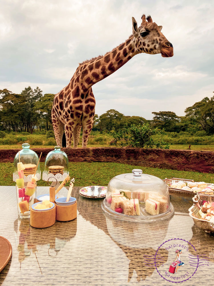 High Tea With The Giraffes