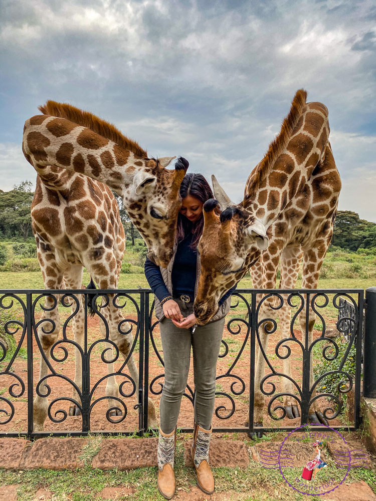 Harpreet and two beautiful giraffes
