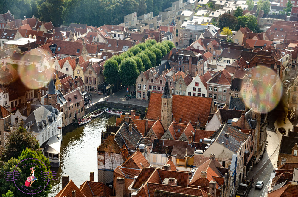 View of Canal and Houses from the Belfry 
