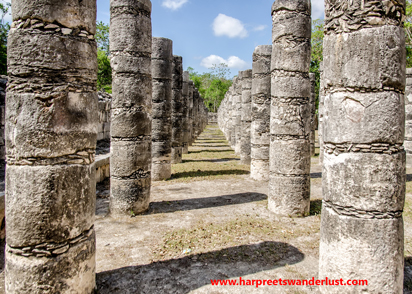 The forest of a thousand pillars