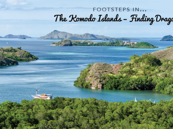 Footsteps in…The Islands of Komodo – Finding Dragons!