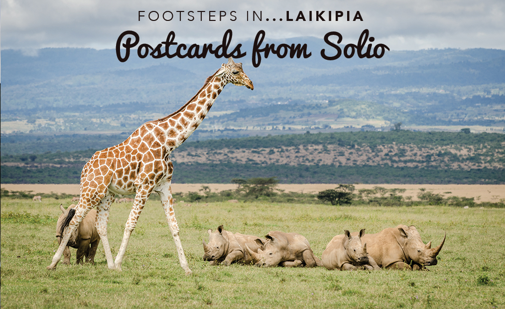 Footsteps in Laikipia…Postcards from Solio