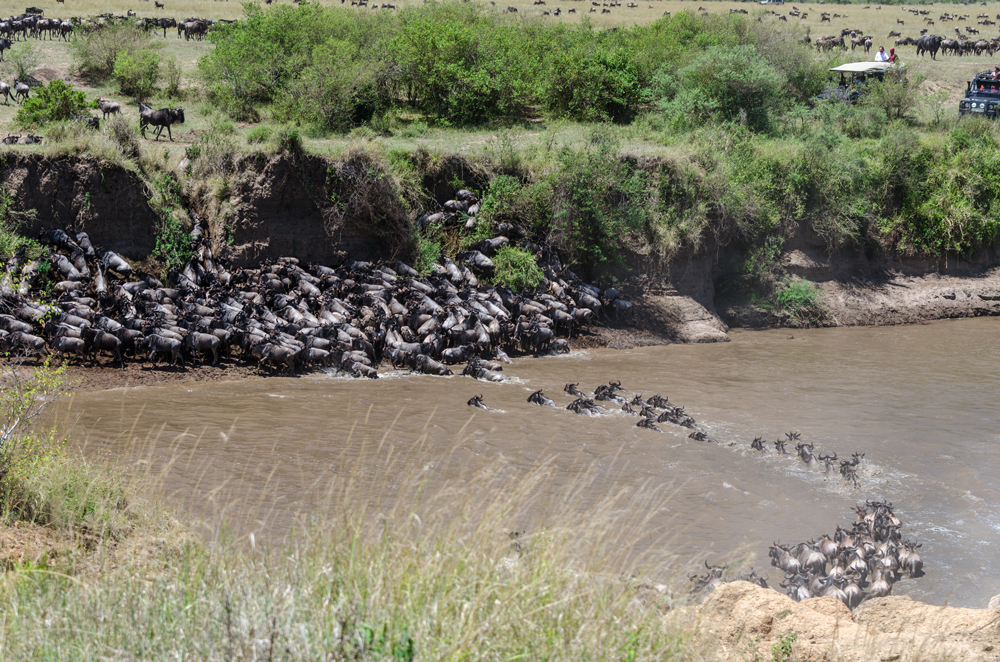 The river crossing