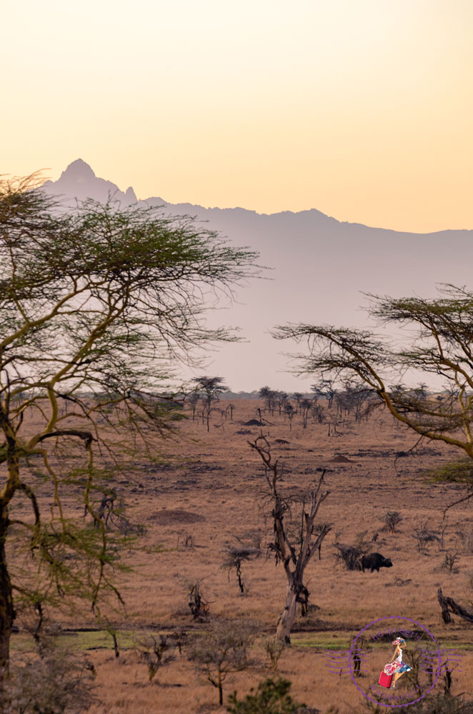Mt Kenya as seen from Segera Ranch 